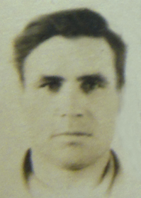 Литвинюк Николай Алексеевич