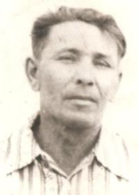 Сапегин Николай Фёдорович